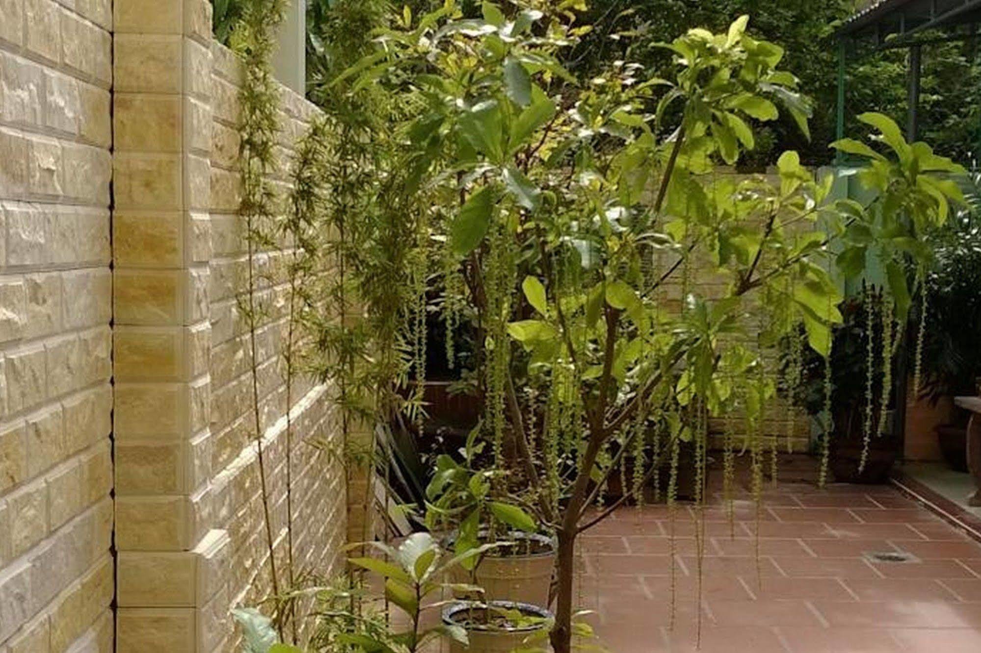 Hi Hop Yen Homestay Hoi An Exterior photo